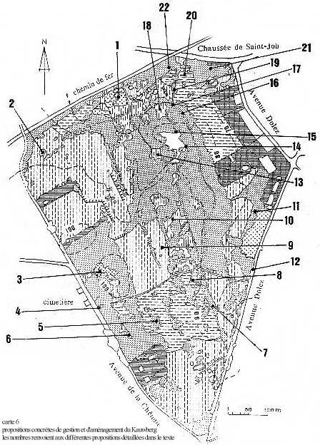 carte6.jpg (78766 octets)