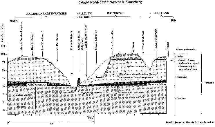 wpe3.jpg (60909 octets)