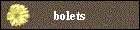 bolets