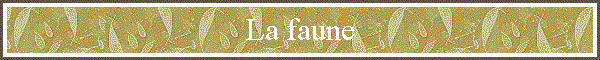 La faune