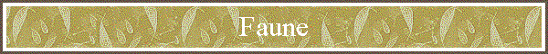 Faune