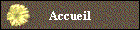 Accueil