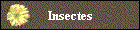 Insectes