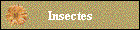 Insectes